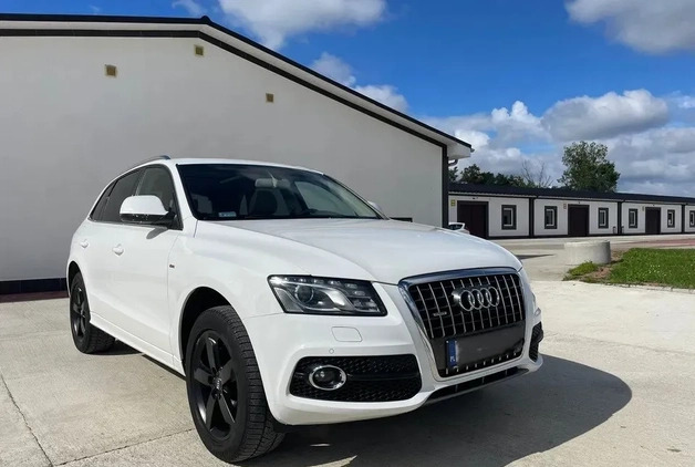 Audi Q5 cena 56500 przebieg: 267000, rok produkcji 2009 z Grójec małe 667